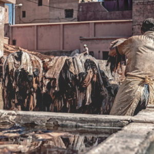 Lebendige Fotografien, die die Farben, Kultur und Architektur Marrakeschs einfangen, von den Souks bis zum Djemaa el Fna.