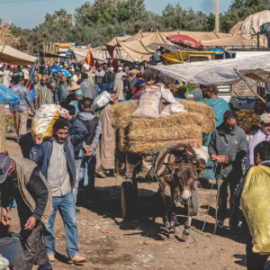 Lebendige Fotografien, die die Farben, Kultur und Architektur Marrakeschs einfangen, von den Souks bis zum Djemaa el Fna.