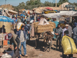 Lebendige Fotografien, die die Farben, Kultur und Architektur Marrakeschs einfangen, von den Souks bis zum Djemaa el Fna.