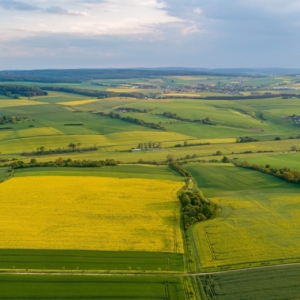 Historische Fachwerkhäuser und Landschaften im Goldenen Grund, Hessen