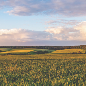 Historische Fachwerkhäuser und Landschaften im Goldenen Grund, Hessen