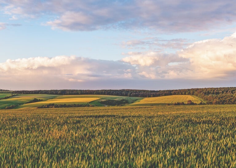 Der Goldene Grund – eine einzigartige Region mit fruchtbaren Böden, historischen Sehenswürdigkeiten und beeindruckender Natur.