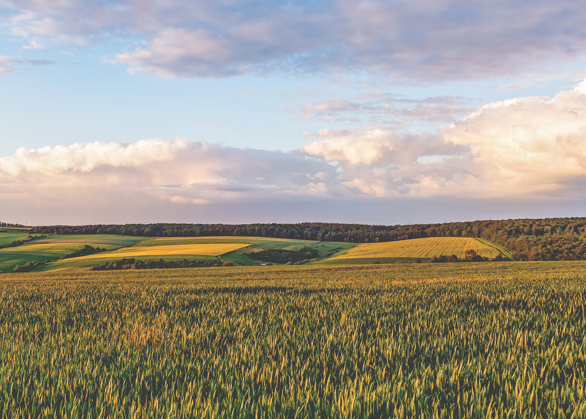 Historische Fachwerkhäuser und Landschaften im Goldenen Grund, Hessen