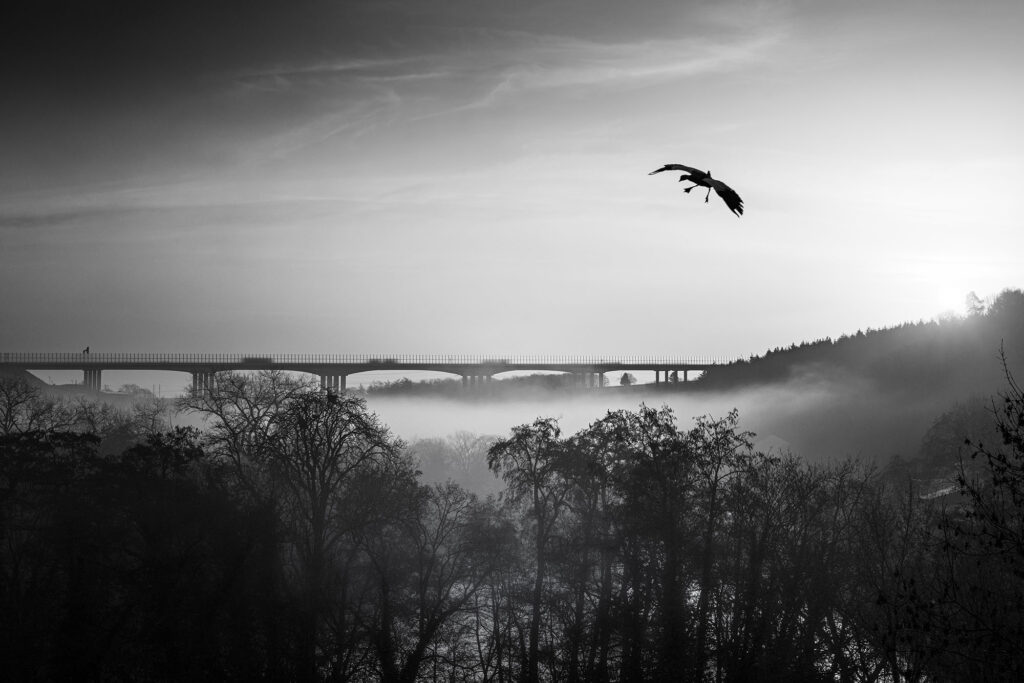 Morgennebel Der Tag erwacht in Stille. Nebel liegt wie ein Schleier über dem Tal und lässt Landschaft und Architektur miteinander verschmelzen. Die Brücke im Hintergrund wirkt fast surreal – eine Linie zwischen Traum und Wirklichkeit. Ein einzelner Vogel durchbricht die Ruhe, schwebt durch die Szenerie und bringt Bewegung in die Komposition. Dieses Bild spielt mit Kontrasten: zwischen Technik und Natur, Bewegung und Stillstand, Licht und Schatten. Es lädt dazu ein, innezuhalten und den Moment zwischen Nacht und Tag zu spüren