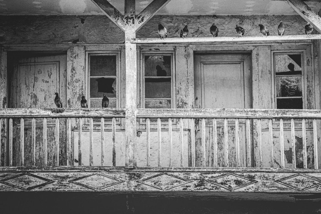 Auf der Veranda Schwarzweißfotografie einer alten, verwitterten Veranda mit Tauben, die sich auf Geländer und Balken niedergelassen haben