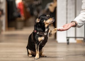 Unternehmensfotografie – authentische Einblicke in Menschen, Arbeit und Atmosphäre.