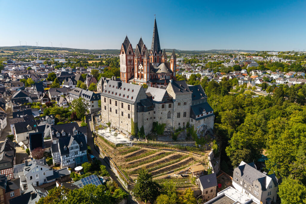 Luftaufnahme des Limburger Schlosswingerts mit Schloss, Dom und Altstadt