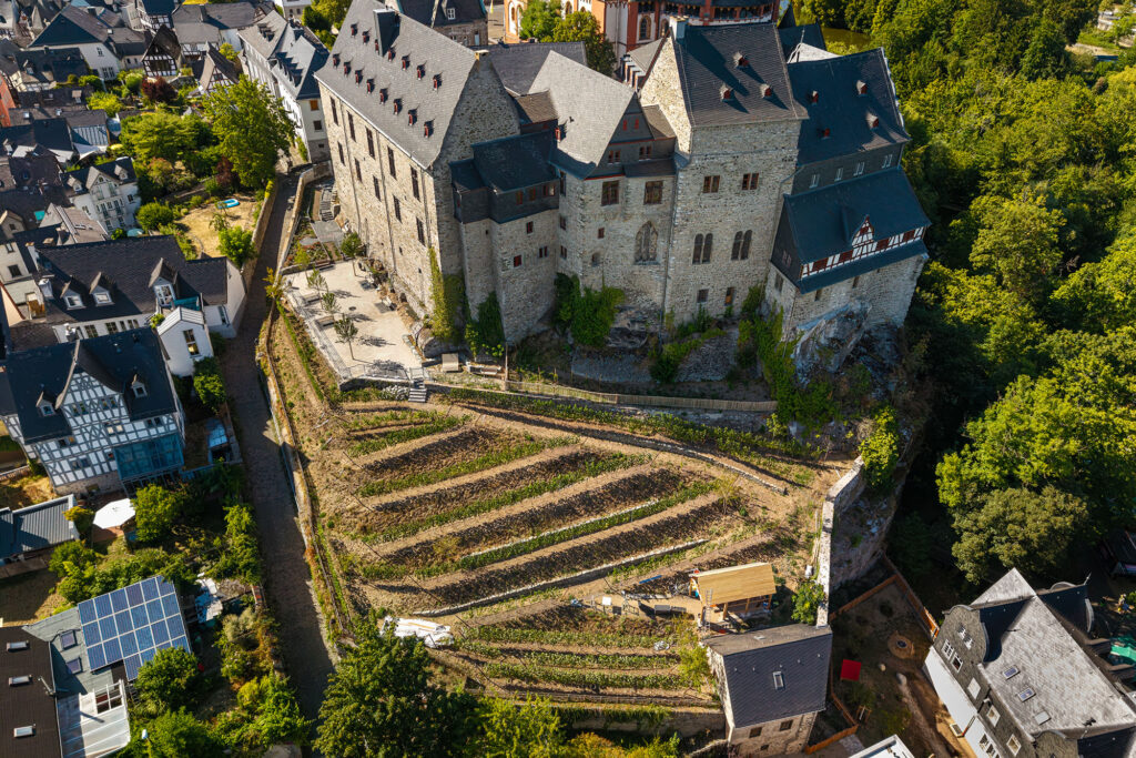 Luftaufnahme des Limburger Schlosswingerts und des Limburger Schlosses