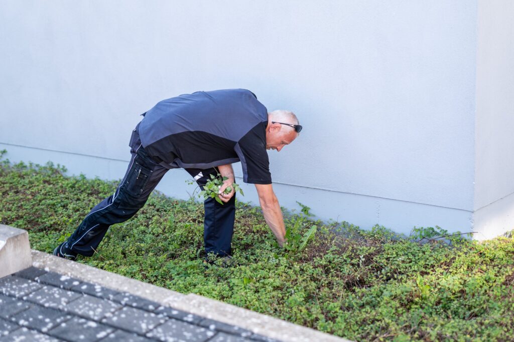 Facility-Management-Mitarbeiter jätet Unkraut im Pflanzbeet neben dem Gebäude